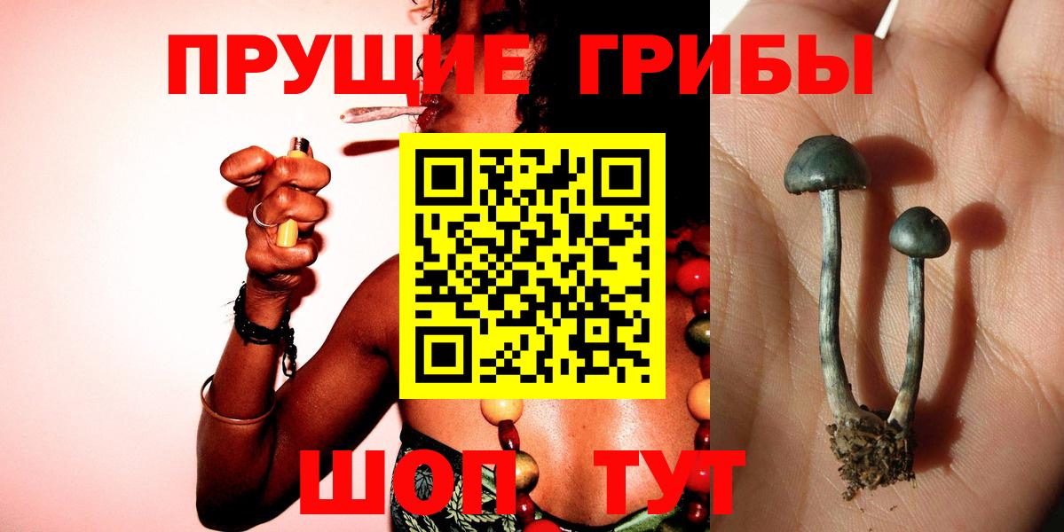 Губаха  Галлюциногенные грибы мухоморы  Псилоцибиновые грибы Magic Shrooms  Вход с VPN 