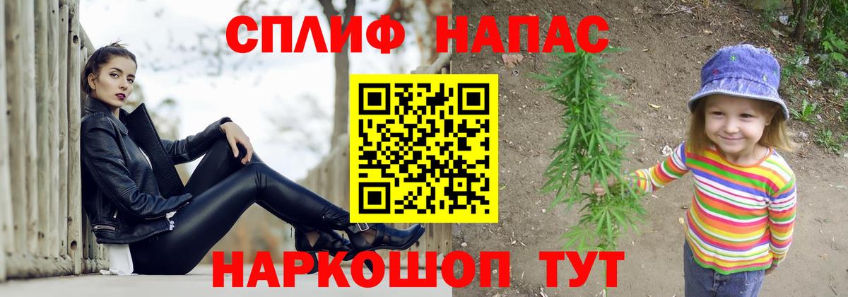 Шишки марихуана план Губаха